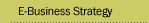 E-Business Strategy