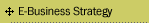 E-Business Strategy