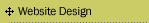 Website Design