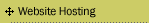 Website Hosting Services