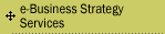 E-Biz Strategy