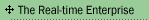Real-Time Enterprise
